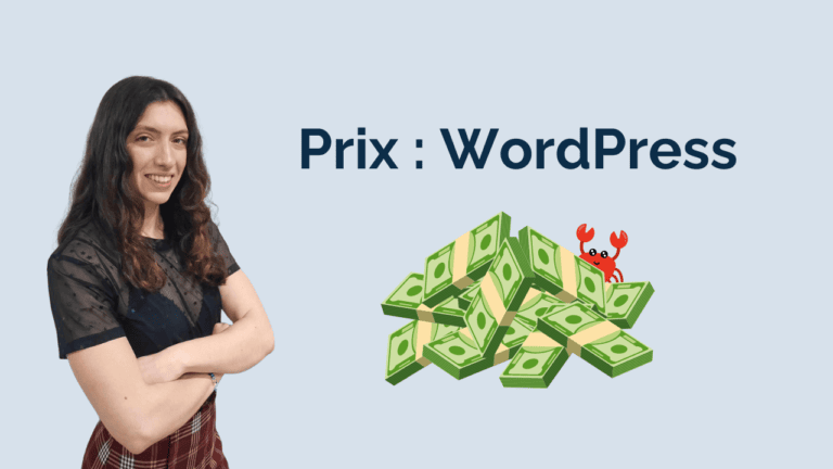 Read more about the article Quel est le Prix d’un Site WordPress ?